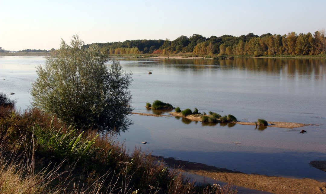 La Loire à Sully-sur-Loire, avec grèves et bancs de sable